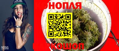 гашик Будённовск
