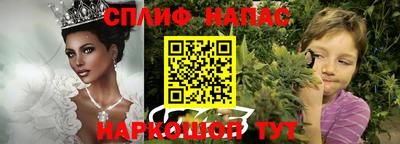 гашик Будённовск