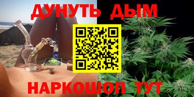 гашик Будённовск